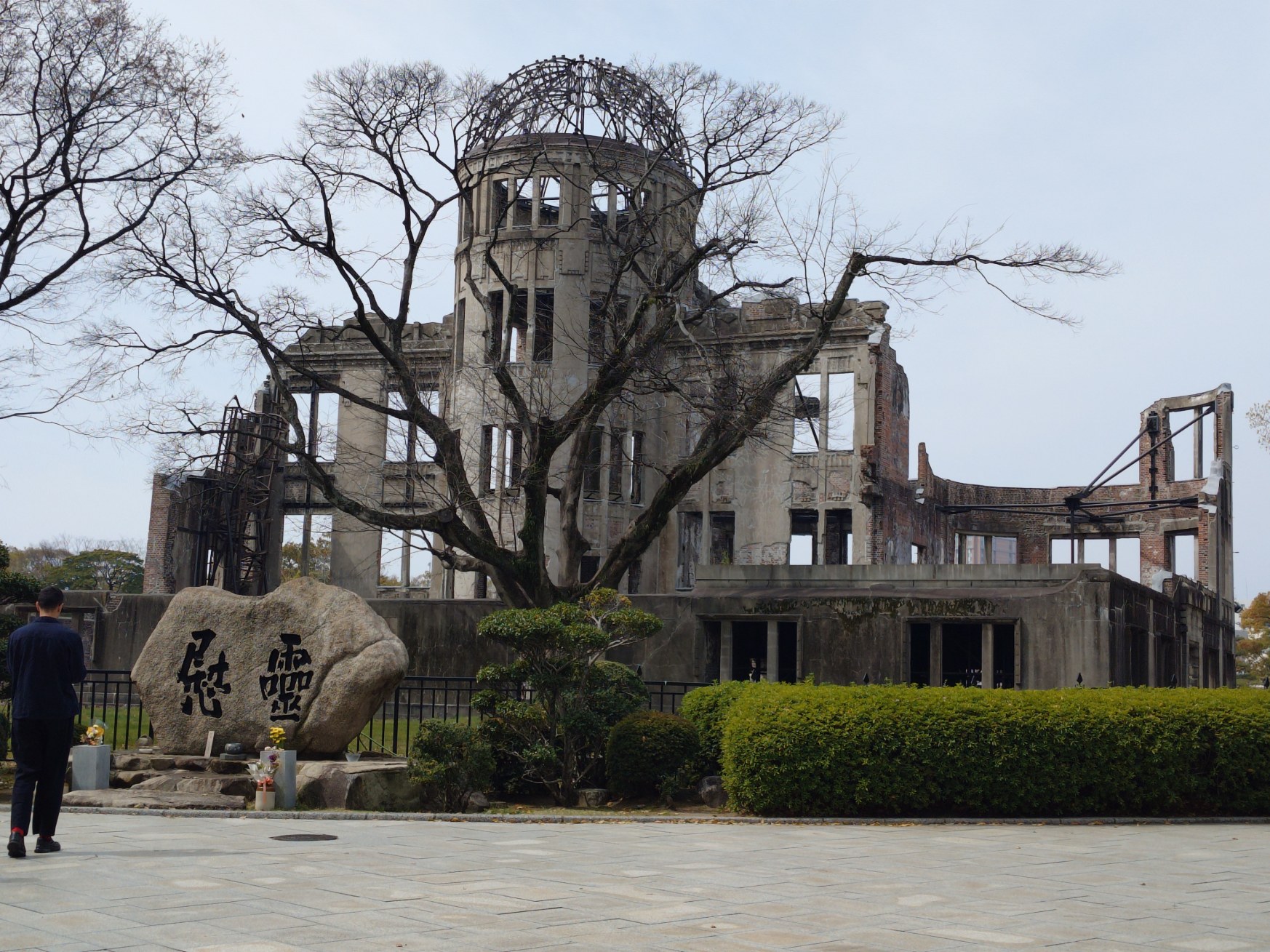 �����񍐎ʐ^