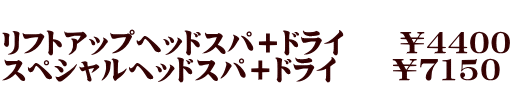  リフトアップヘッドスパ＋ドライ　　￥4400 スペシャルヘッドスパ＋ドライ　　￥7150