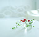 �X�^�b�t�ʐ^