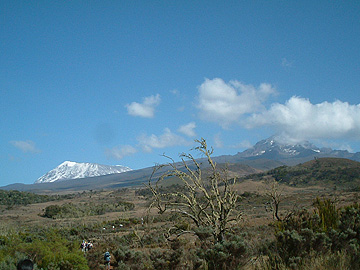 �C���������V�C�ɐ�R