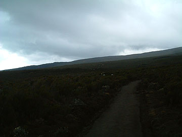 �������V�C