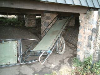 ������ɒu���ꂽ�l�R�Ԍ^�S��