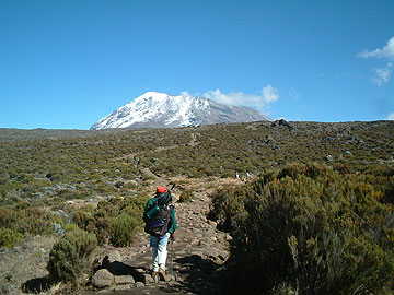 �ԖX�̃Z�r������