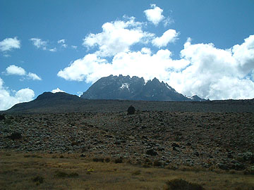 ���㕔�͒f�R