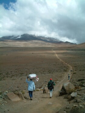 �_�ɕ���ꂾ����