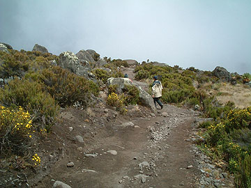 �ߌ�͑��ς�炸�V��͕s����B�Ƃ���ǂ��뉩�F���Ԃ��B