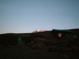 ���W����