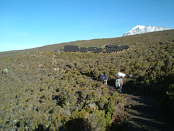 ���񂾃L���}���W����