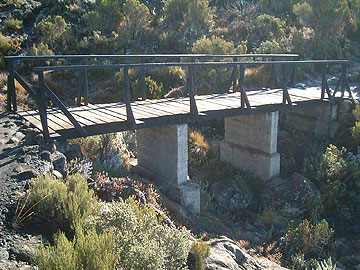 ���Ԃ���J���{�^�{�^�����Ă���