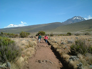 ���肪�Ƃ��L���}���W����