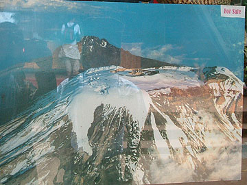 ���R�̓f�J���A�l�Ԃ͂����ۂ��Ȃ��̂�