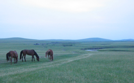 ���������֌Õ��������_�̑呐���B�[��ꎞ�ɑ���H�ޔn�̎p������ꂽ�B