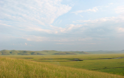 ���������֌Õ��������_�̑呐���B�֍s����삪�����ɗ���Ă���B