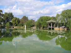 �k�ˌ������̒r�B�V�C���悩�����̂ŁA�K���X�̂悤�Ɏ���̌i�F���f���Ĕ����������B