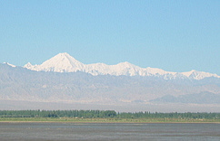 �J�V���K������z�[�^���܂ł̎ԑ��̌i�F�B