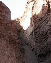 �勬�J�B����ȐԊ��F�́A�s�v�c�Ȗ͗l�����܂�Ă����Ɗ�̊Ԃ�i��ł����B�X�P�[���̑傫���ɂ͋����΂���B