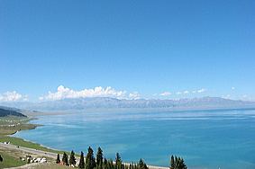 �T�C�����΂��������u���猩���낵�����i�B�R�U�O�x�̃p�m���}�Ƃ��܂�̐��ɑ労���I�I