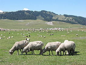 �T�C�����ΔȂŕ��q����Ă���r�B��O�̂S���͏�ɂ������čs�����Ă�����΂܂����B