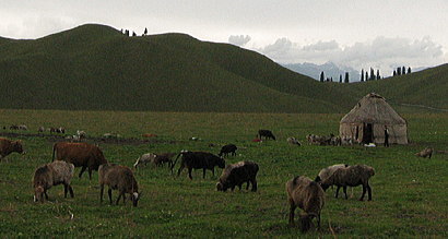 �i���e�B�呐���B�����ɂ��̓V�C���������A�����ޕ��܂ōL���鑐���͌��鉿�l������B