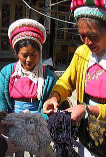 ���F�ɐ��߂��z�ɍi�����ꂽ�l�q�������Ă���锒���̏����B�B