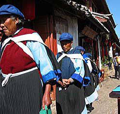 �Ï������Ă���i�V���̏����B�B���ꂪ�i�V���̖����ߑ����B