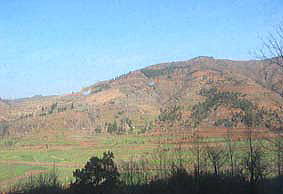 �}�ɍL��������Ɋ����I�I����Ɠ��̐Ԓ������y�̐F���V�N�������B