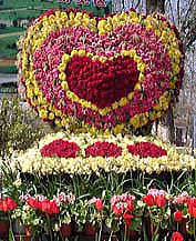 ��ό����ɂ́A��l�߁i�o�����^�C���f�[�j���߂��Ƃ������Ƃł��Ԃ��g��������ȃA�[�g���I�I