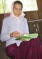 �ב��̂��΂�����񂪉Ƃ̒��ő傫�ȗt���ςɂ��݂���ł���B