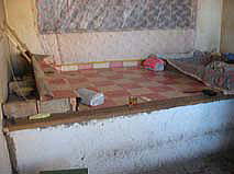 �g�[���̃J���B�������Q���ɕς��悤���B