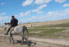 �n�ɏ���Ēʂ�߂��čs���������������B