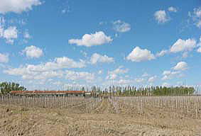 �ǂ��܂ł��n�����B�R�͂܂������Ȃ��B