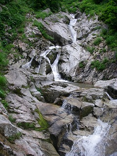 IMGP1496.jpg(49784 byte)