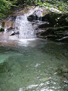 IMGP1599.jpg(29191 byte)
