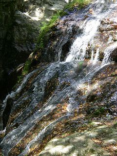 IMGP1812.jpg(34947 byte)