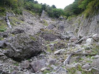 IMGP1900.jpg(34017 byte)