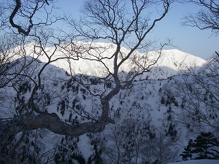 IMGP2794.jpg(45084 byte)