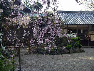 IMGP2985.jpg(51623 byte)