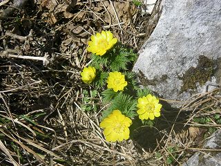 IMGP6508.jpg(38136 byte)