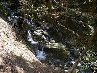 IMGP6527.jpg(33321 byte)