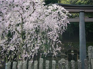 IMGP6535.jpg(33593 byte)