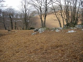 IMGP6548.jpg(31365 byte)