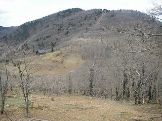 IMGP6566.jpg(22779 byte)