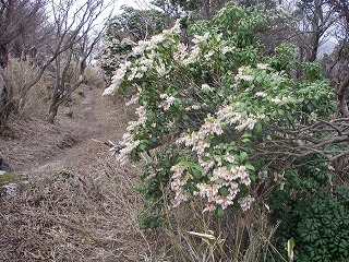 IMGP6607.jpg(52987 byte)