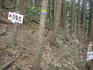 IMGP6637.jpg(48565 byte)