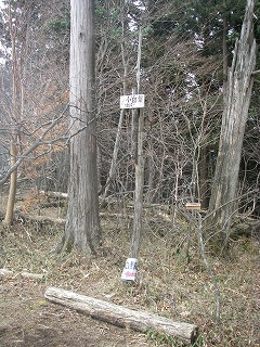 IMGP6640.jpg(49427 byte)