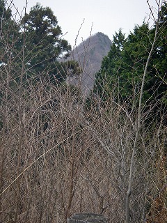 IMGP6643.jpg(46467 byte)