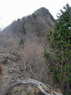 IMGP6649.jpg(39515 byte)