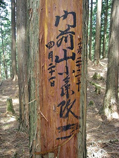 IMGP6663.jpg(48142 byte)