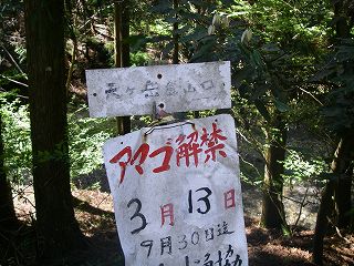 IMGP6676.jpg(31389 byte)