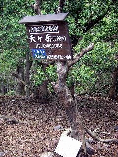 IMGP6700.jpg(37883 byte)